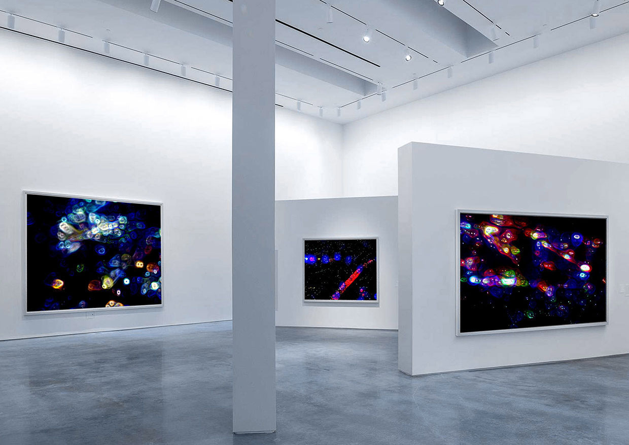 Tim White-Sobieski contemporary art installations museum exhibition views